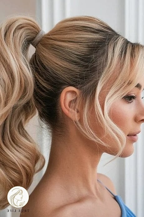 High Sleek Ponytail