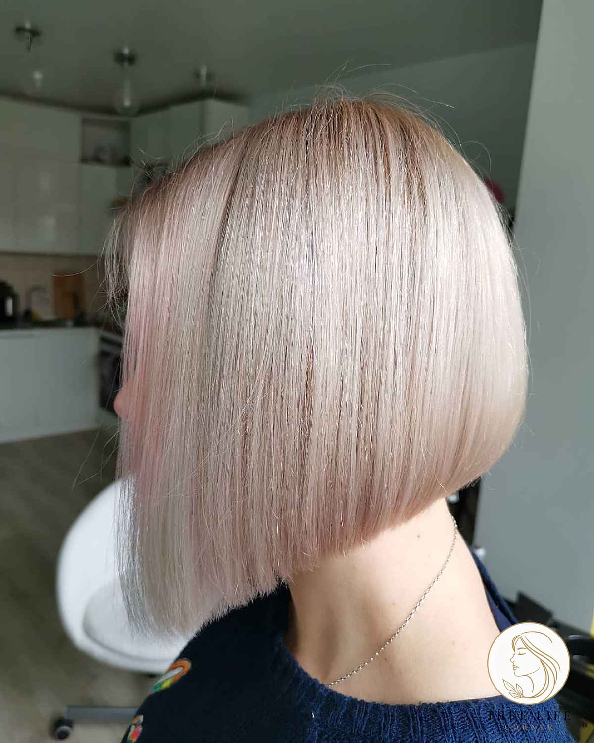 20 Hairstyles For Short Straight Hair Black Everyone Is Pinning Right Now 13 Platinum Angled Bob for Straighter Hair