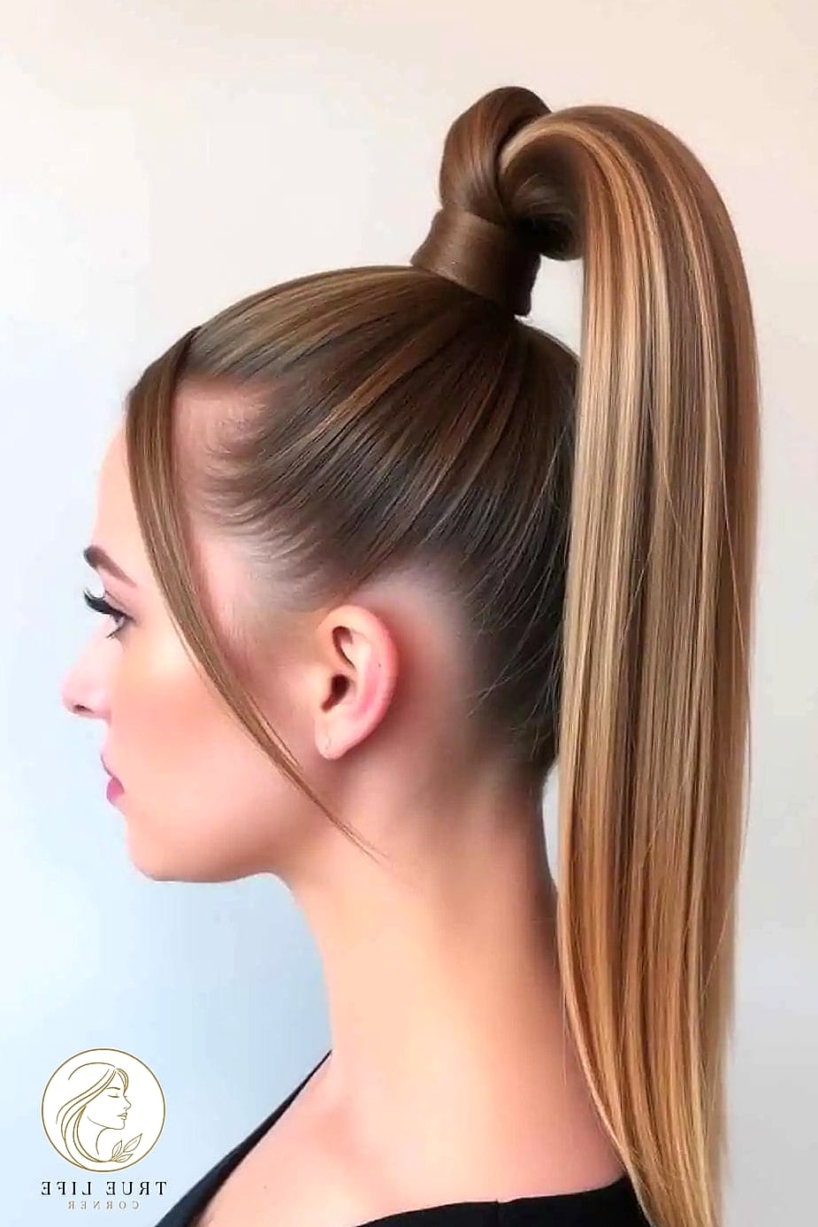 17 Cute Hairstyles For Long Hair Inspo That's Giving Us Everything 4 Sleek High Ponytail