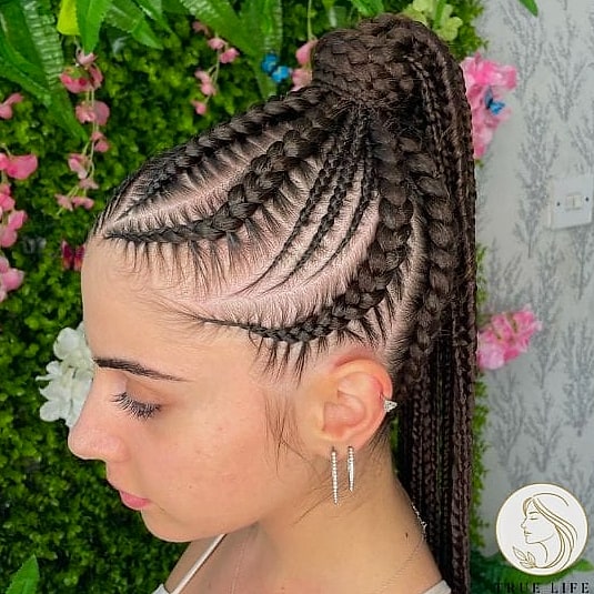 18 Braided Hairstyles For Short Hair to Show Your Stylist ASAP 4 Sleek Straight Ponytail