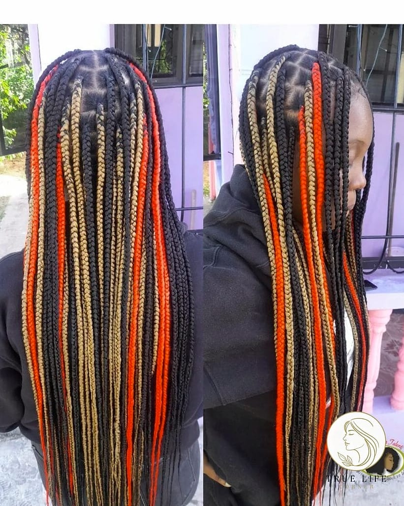 21 Color 30 Braids Ideas You Need to Try Right Now 18 Box Braids with Color-Blocked Panels