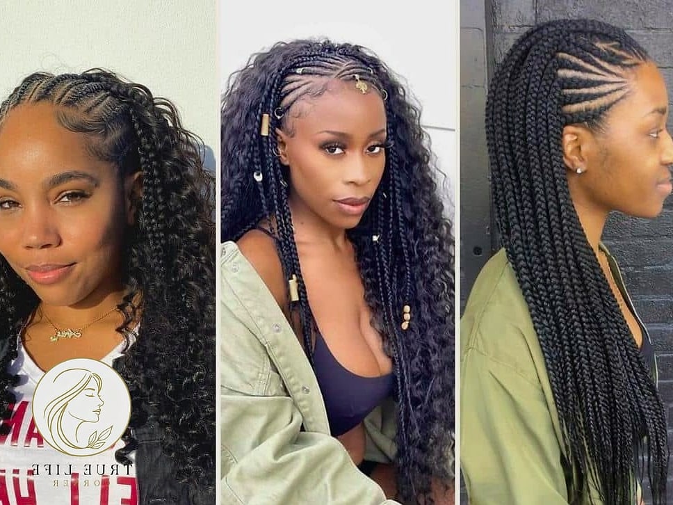 14 Cool Braid Hairstyles to Transform Your Look Instantly 15 Braided Half-Up Style