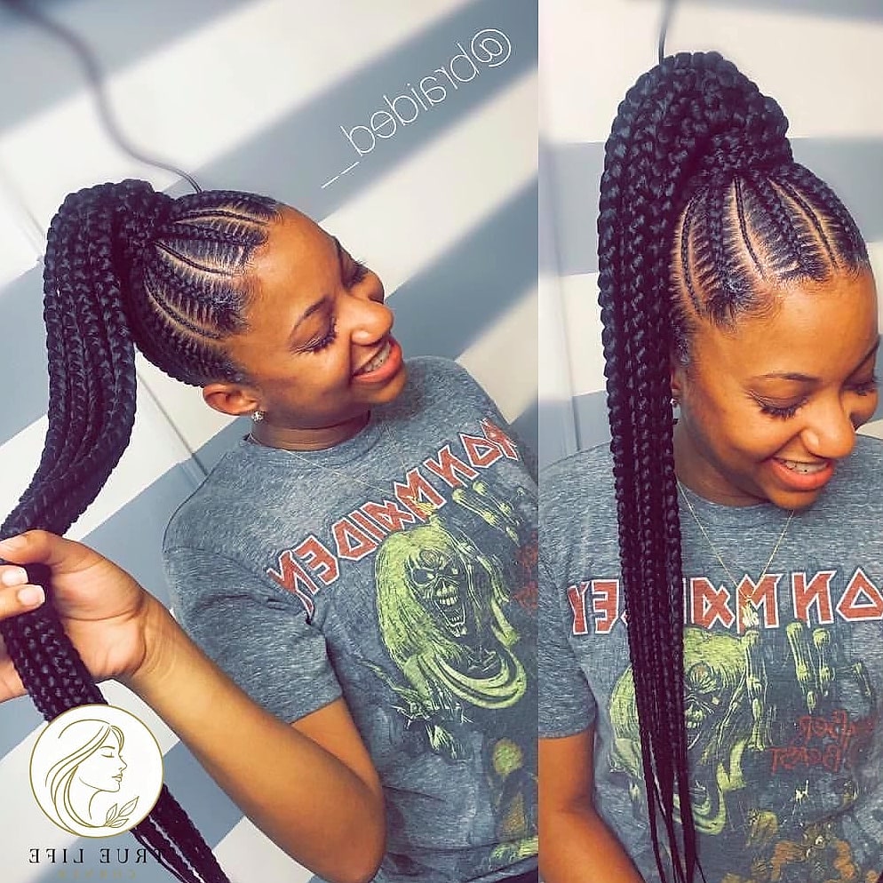 Braided Ponytail