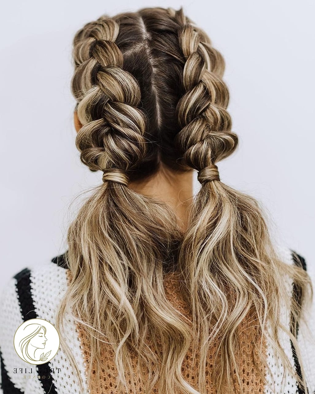12 Dutch Braid Hairstyles for When You Need a Fresh Change 13 Dutch Braid Pigtails for Curly Hair