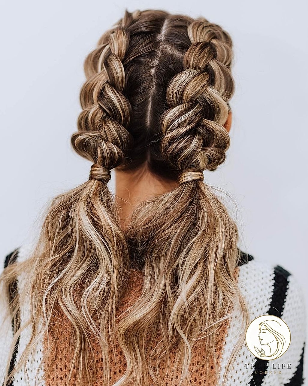 27 Beautiful Braid Hairstyles That Are Actually Easy to DIY 3 Dutch Braid Pigtails