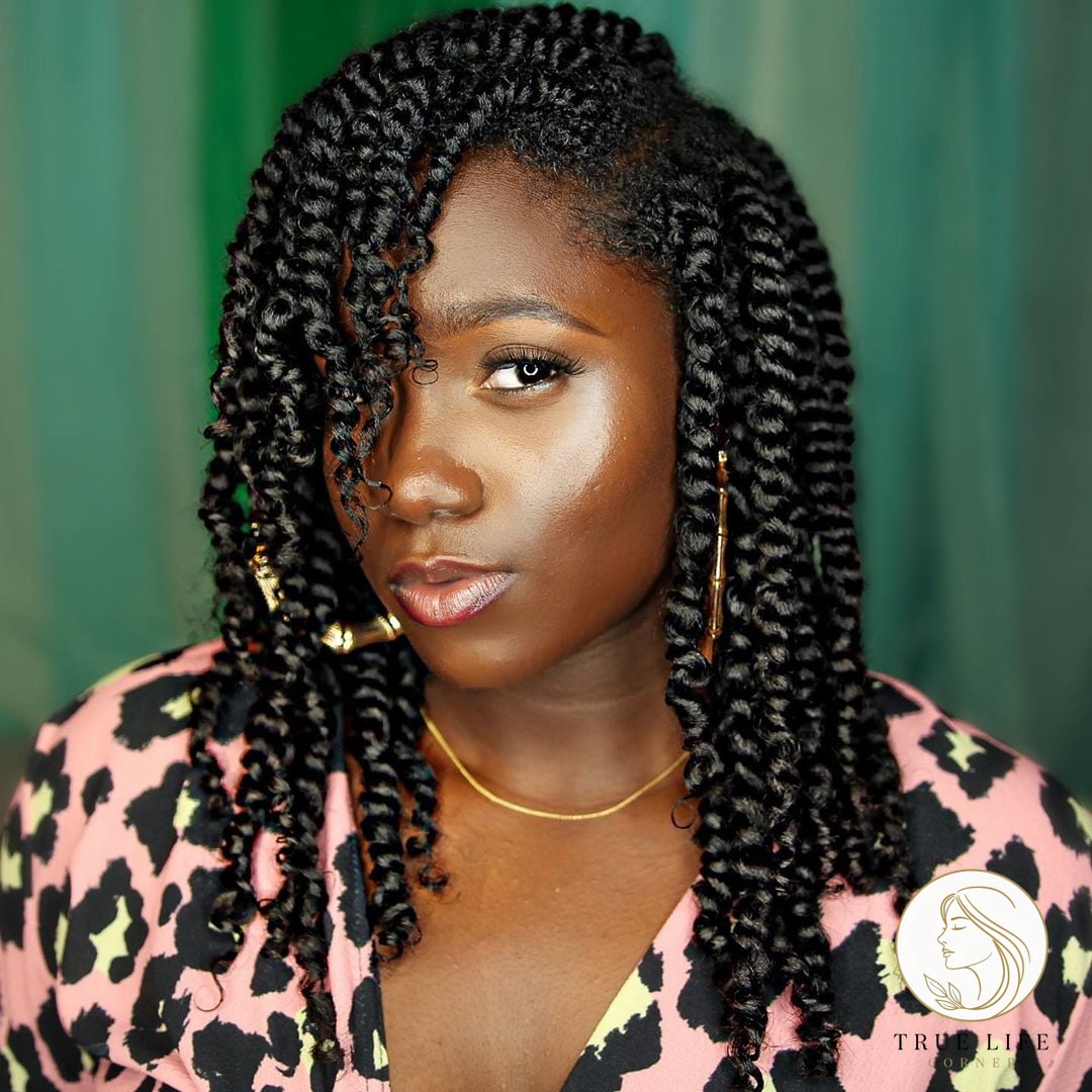 22 Twist Braid Hairstyles to Save Before They Blow Up 6 Elegant Afro Twist Braids