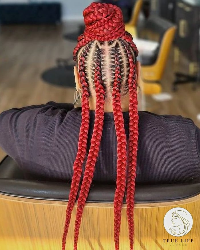 21 Color 30 Braids Ideas You Need to Try Right Now 16 Half-Up Braided Style with Blue Underlayer
