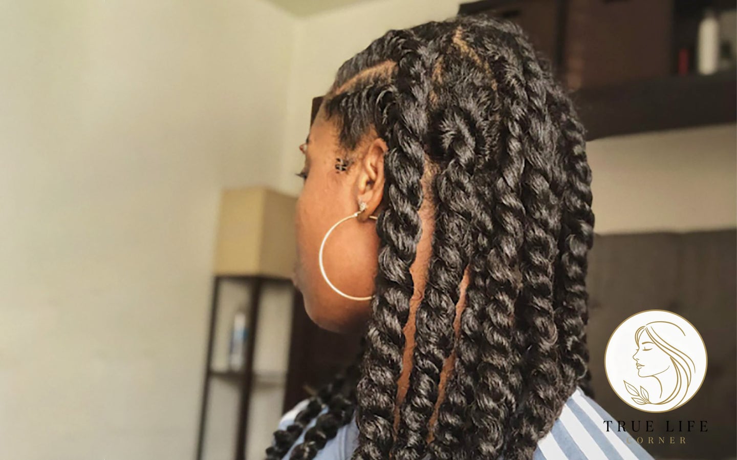 22 Twist Braid Hairstyles to Save Before They Blow Up 5 Here's some of our favourite twist braid styles.