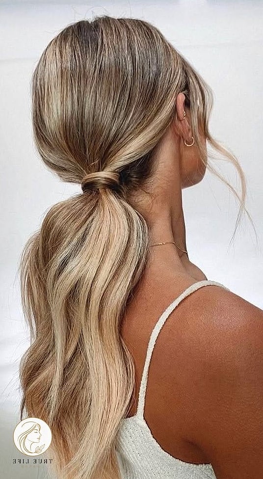 Low Sleek Ponytail