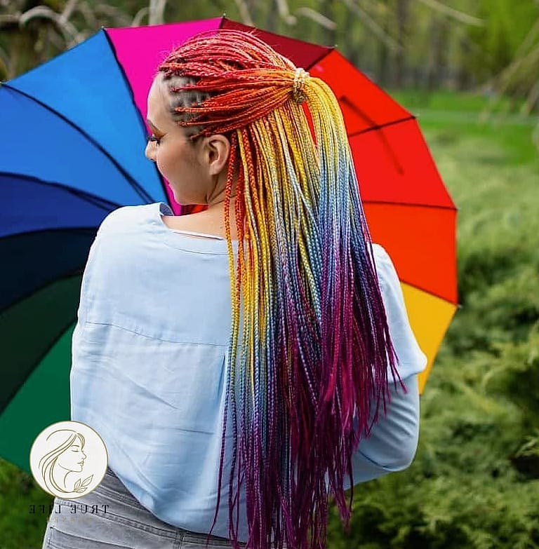 21 Color 30 Braids Ideas You Need to Try Right Now 10 Micro Braids with Rainbow Streaks