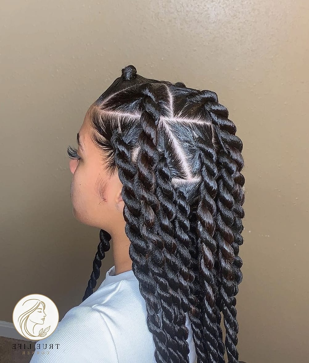 27 Beautiful Braid Hairstyles That Are Actually Easy to DIY 8 Rope Braid