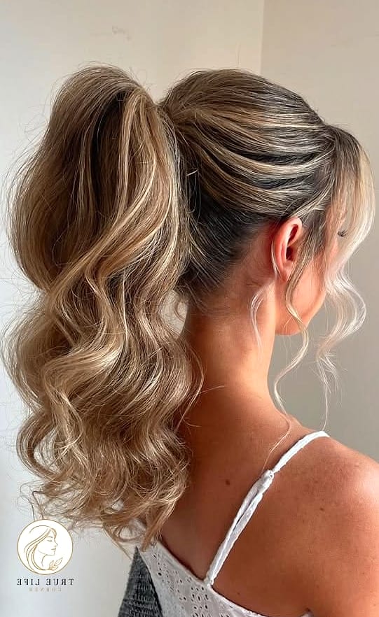 Sleek High Ponytail With a Bump