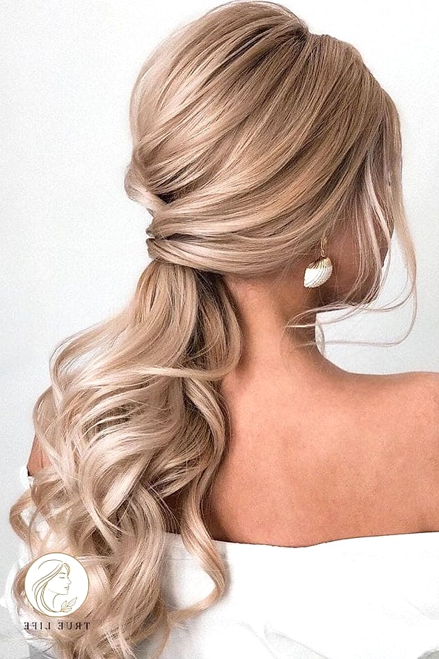 16 Party Hairstyles For Long Hair to Show Your Stylist ASAP 5 Sleek Low Ponytail
