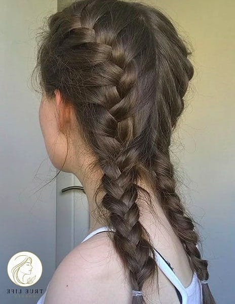 Twin French Braids