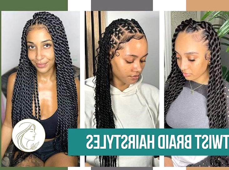 22 Twist Braid Hairstyles to Save Before They Blow Up 22 Twist Braids Pulled into a High Ponytail