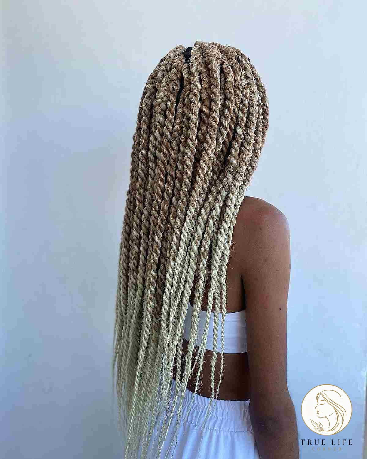 22 Twist Braid Hairstyles to Save Before They Blow Up 11 Two-Tone Blonde Twist Braids