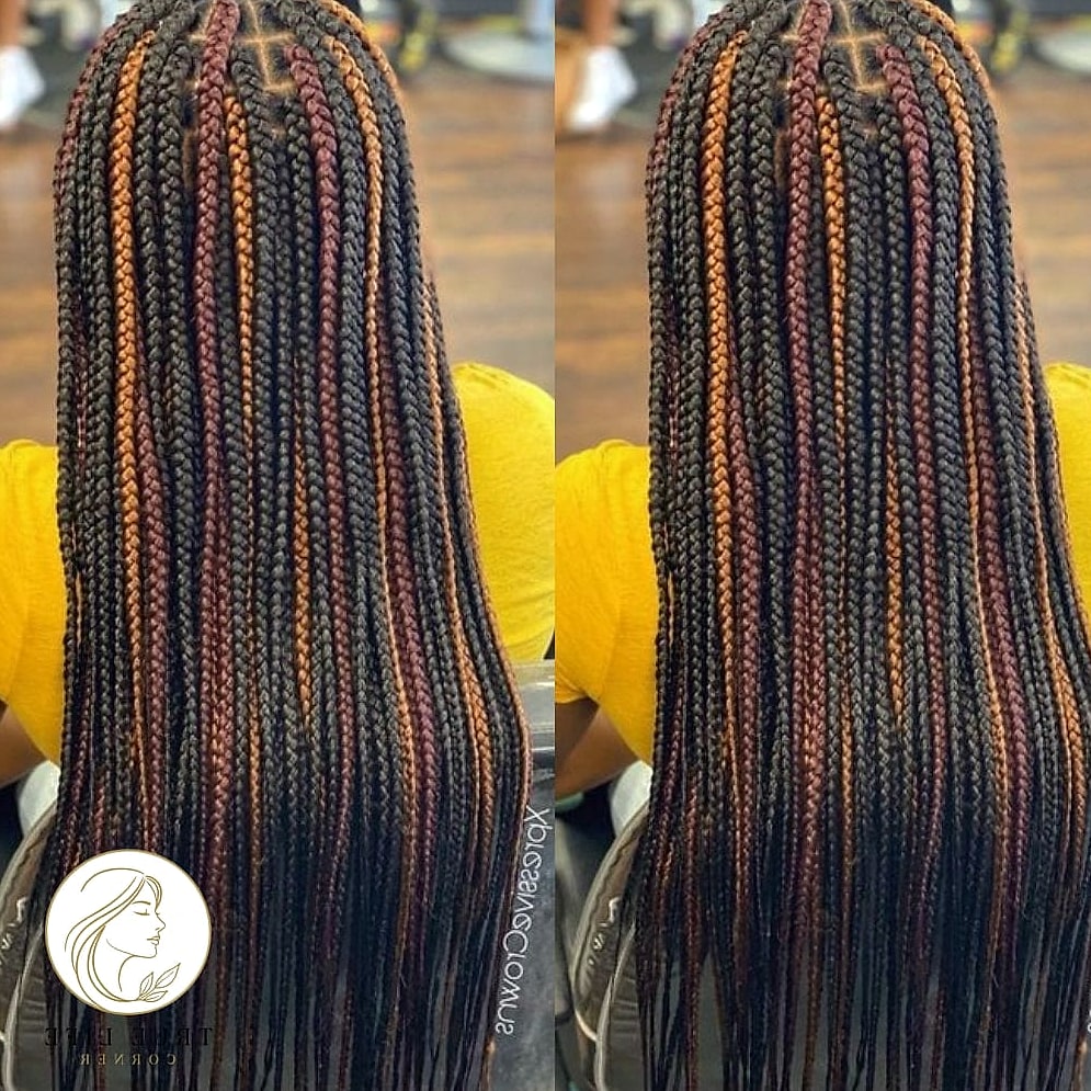 21 Color 30 Braids Ideas You Need to Try Right Now 15 Waist-Length Braids with Sunset Ombre